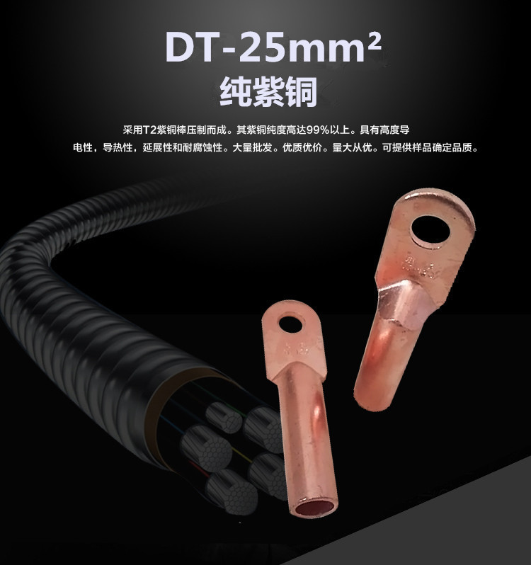 DT-25mm2銅鼻子