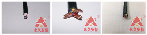 FS-ZR綜合線.jpg