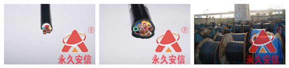 FS-ZR綜合線.jpg