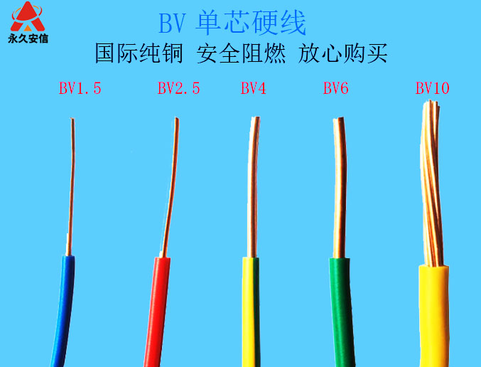 BV電線圖jpg.jpg