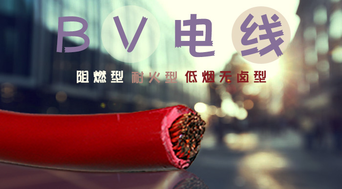 bv線