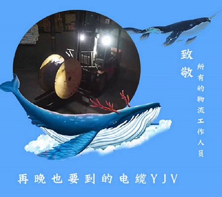 再晚也要送到的中策千島湖電纜YJV【杭州安信】