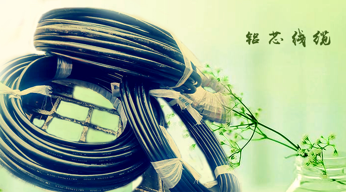 杭州鋁電纜廠家 哪家好？Shou選 杭州安信