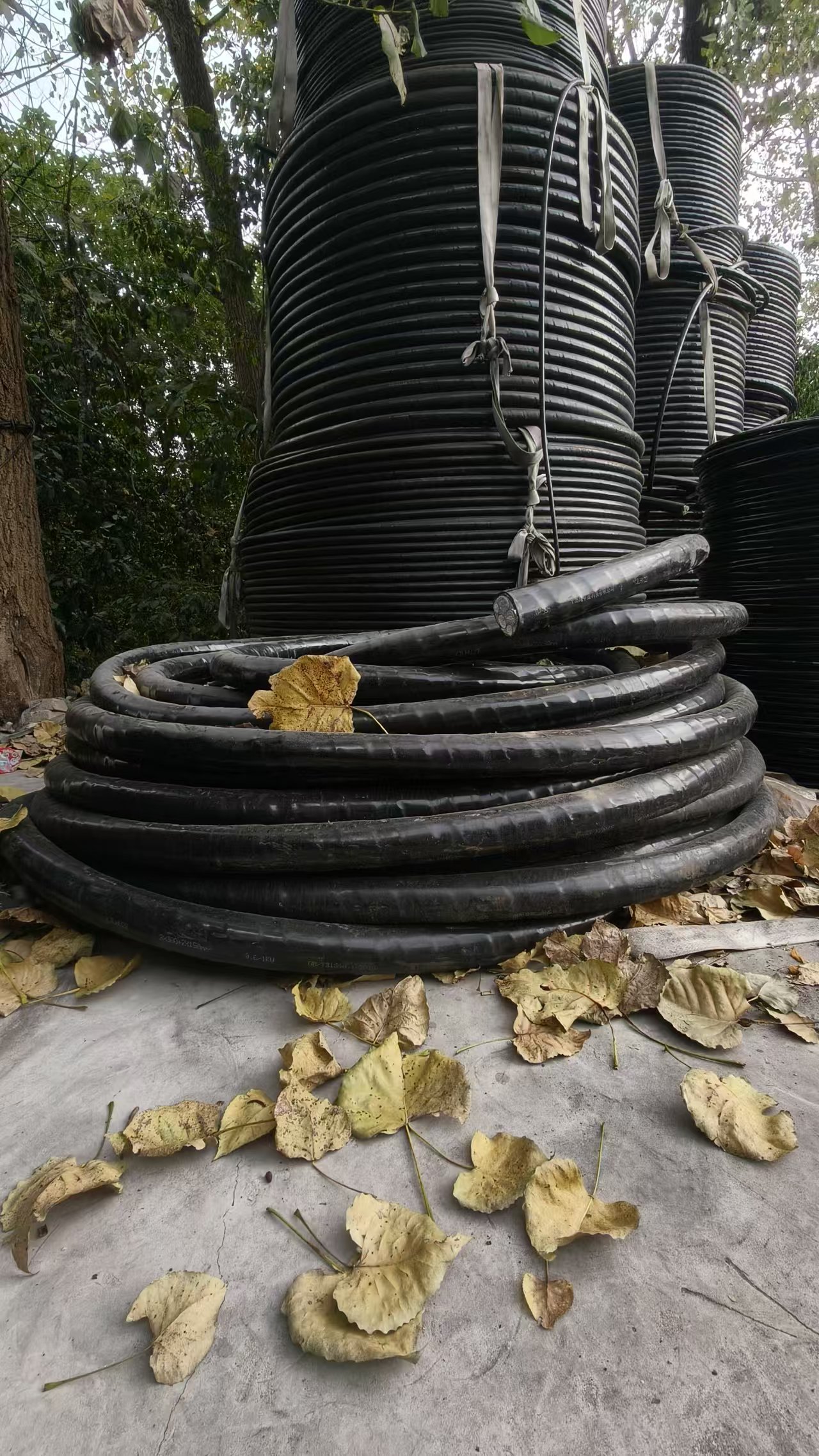 選對鎧裝電纜，為電力傳輸筑牢“安全鎧甲”!