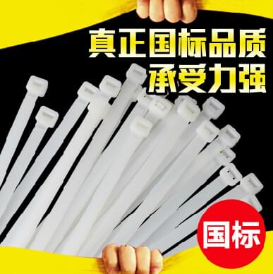 扎帶 國標(biāo)尼龍?jiān)鷰?扎線帶
