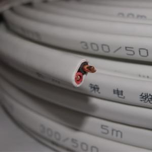 2芯4平方護(hù)套線 國標(biāo)硬護(hù)套 bvvb硬護(hù)套