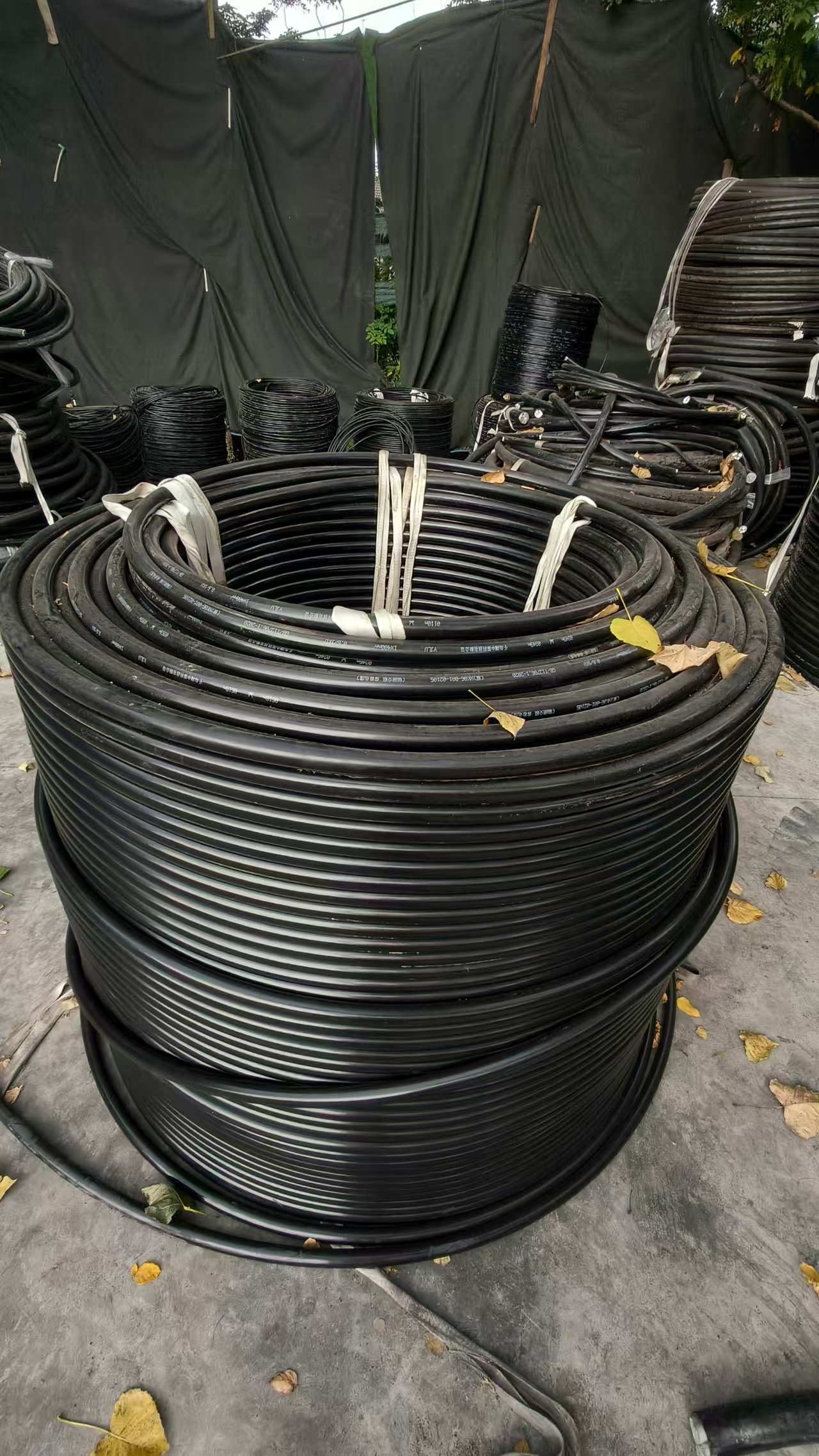 低壓電纜是否適合遠(yuǎn)距離輸電？